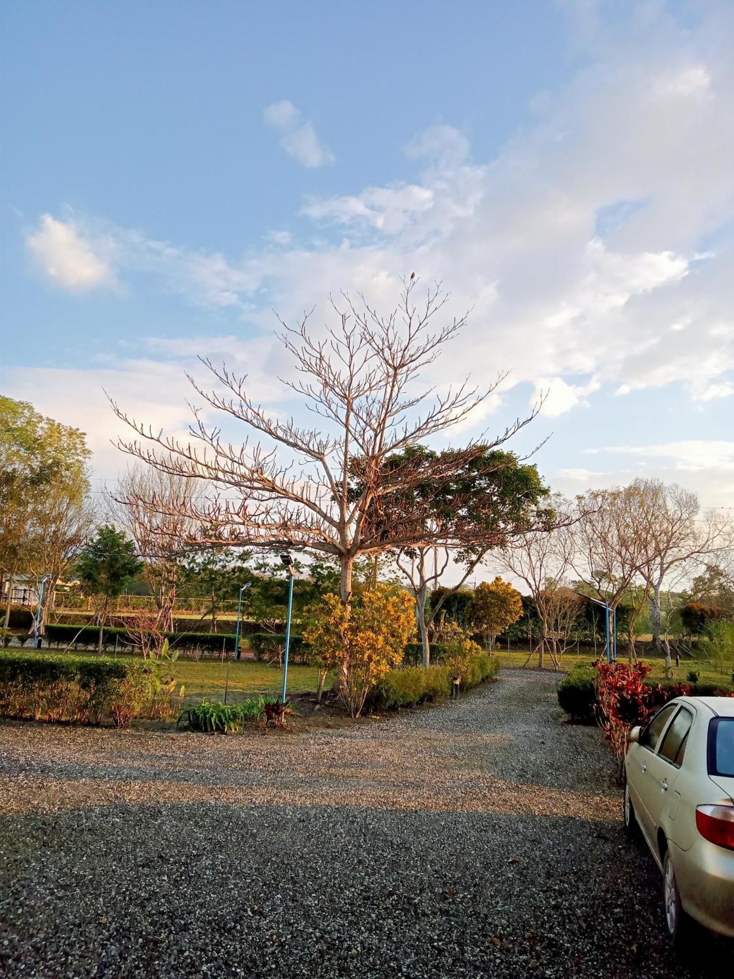 Maple Feeling Vacation Farm ξενώνας Guangfu Εξωτερικό φωτογραφία